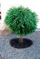 Ukrudtsmåtte ring gummi Ø30 cm